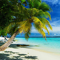 熱烈祝賀友昆中標三亞市交通設施公共場所外語標識牌項目